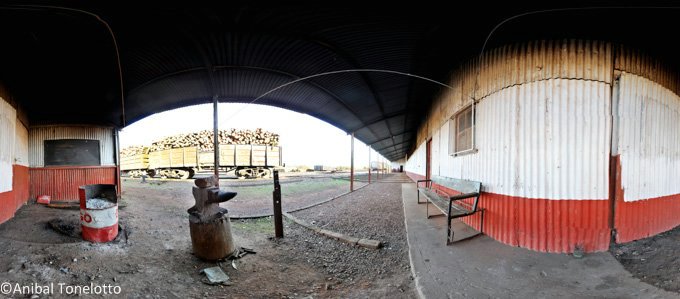tren5.jpg