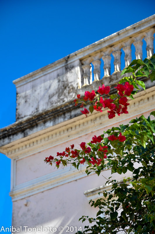 DSC_4152-Edit.jpg