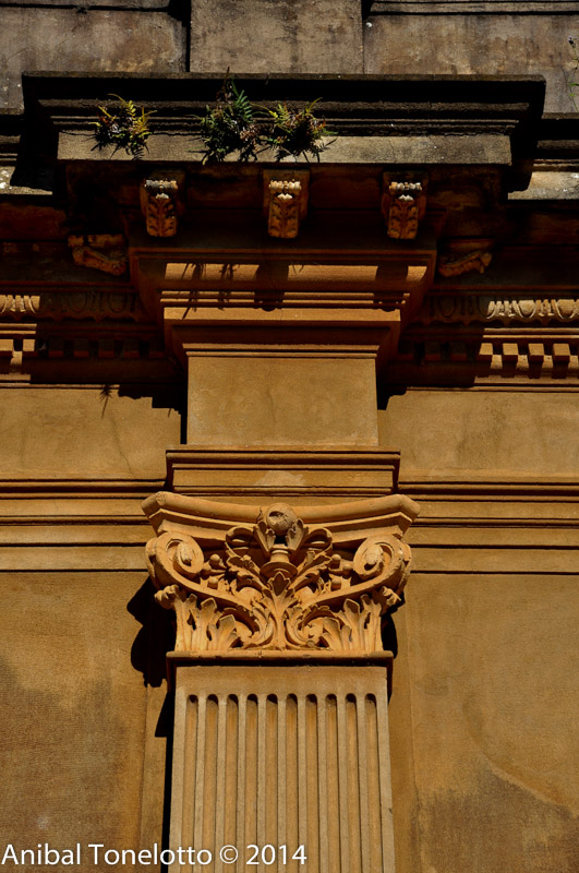 DSC_4211.jpg
