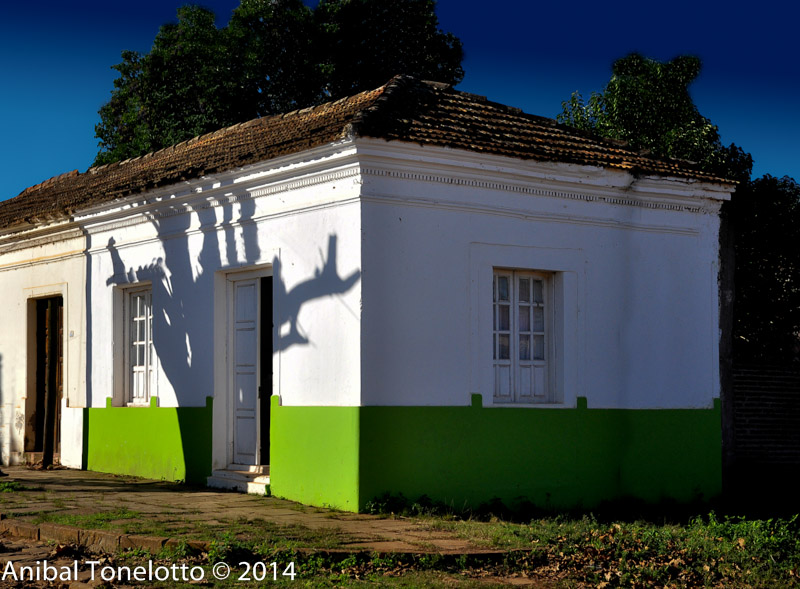 DSC_4244-Edit.jpg