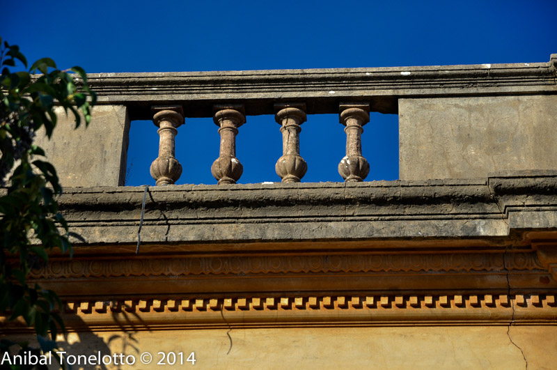 DSC_4256.jpg