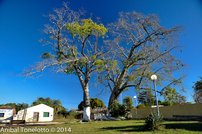 DSC_4282-Edit.jpg