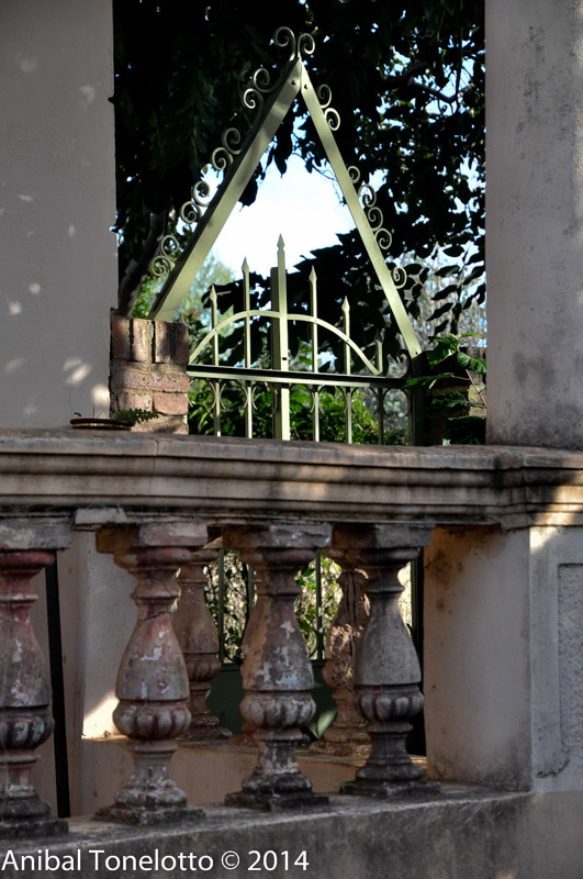 DSC_4334.jpg