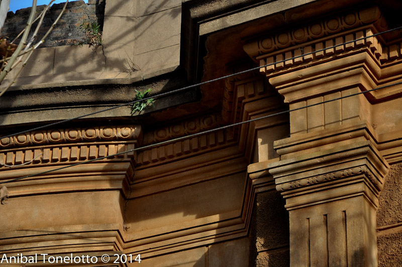 DSC_4338.jpg
