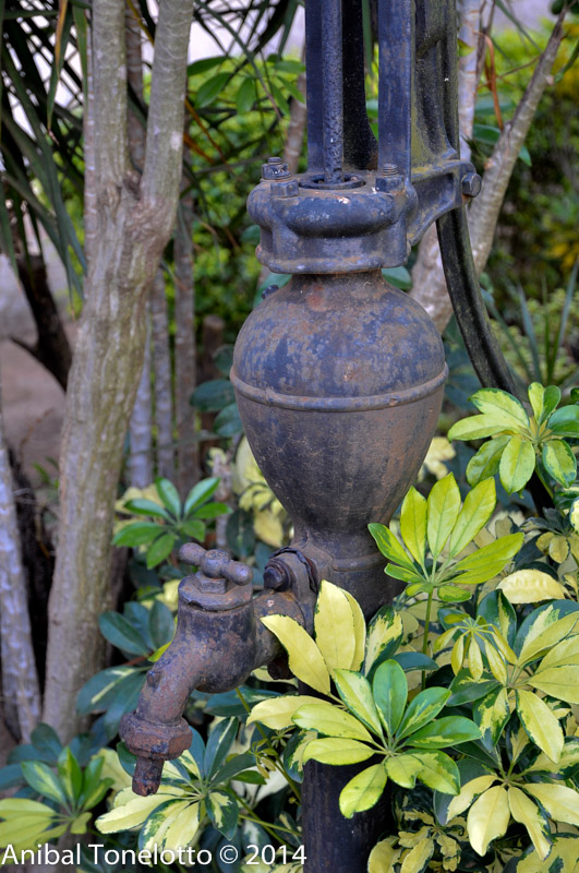 DSC_4360.jpg