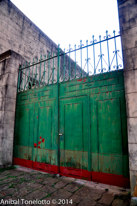 DSC_4449-Edit.jpg