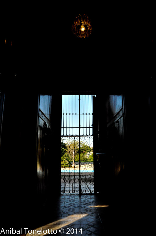 DSC_4466.jpg