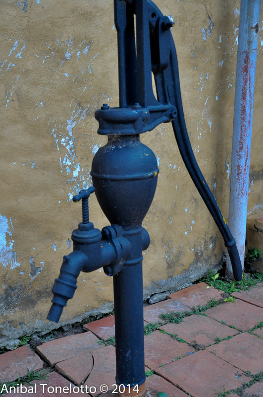 DSC_4467.jpg