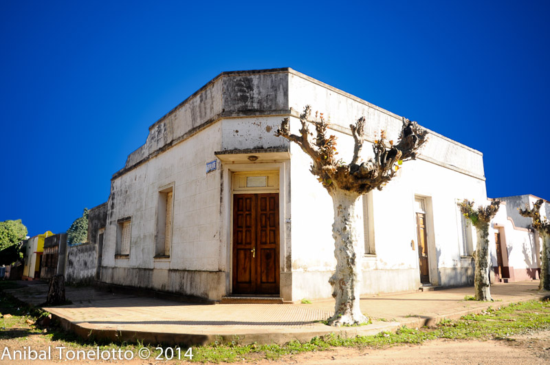 DSC_4548-Edit.jpg