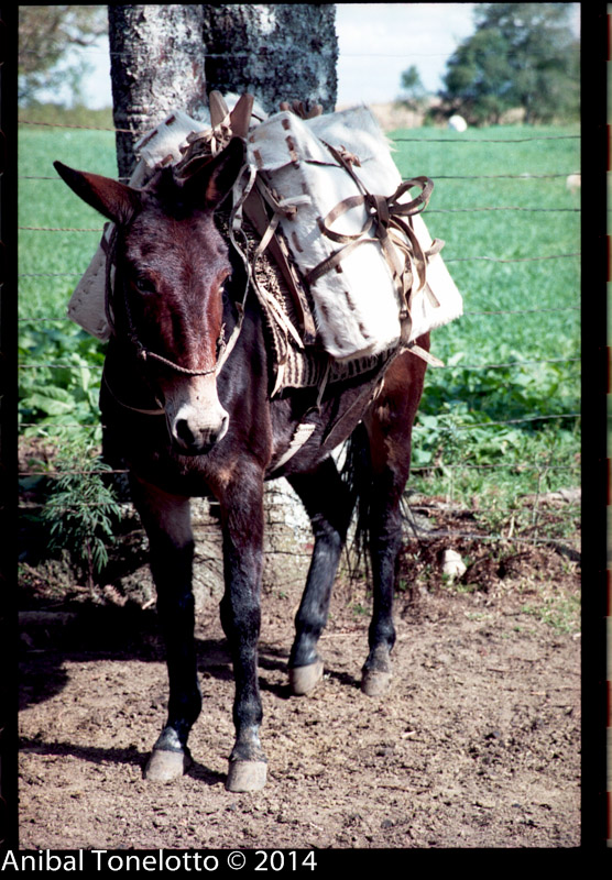 BJ-003-15.jpg