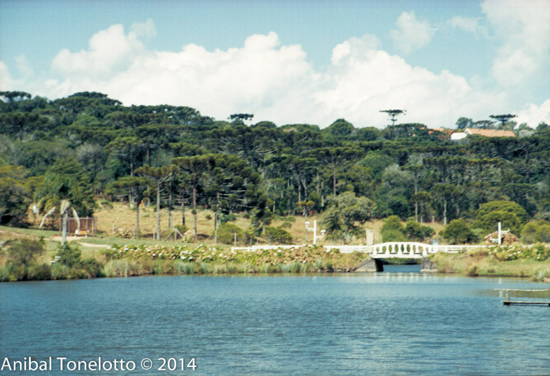 B030201116.jpg