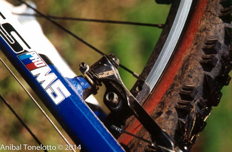 bici2-2.jpg