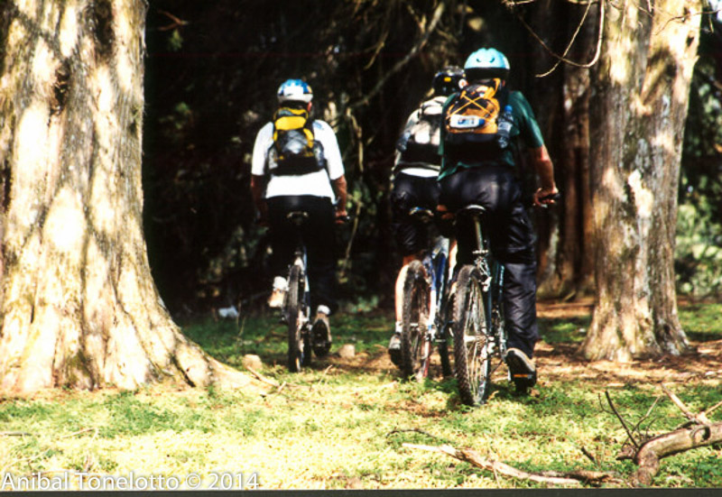 bici3.jpg