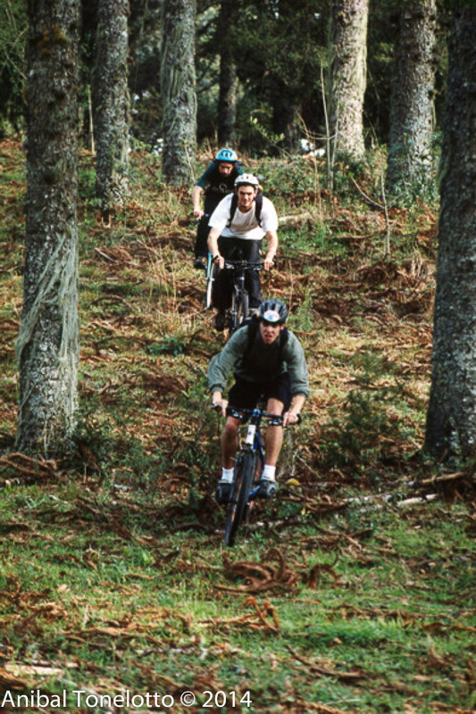 bici8.jpg