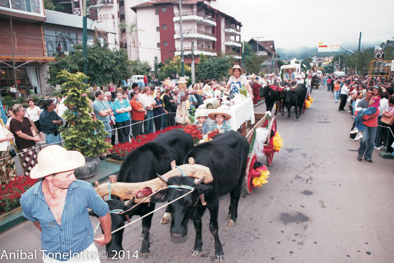 1103-06A.jpg