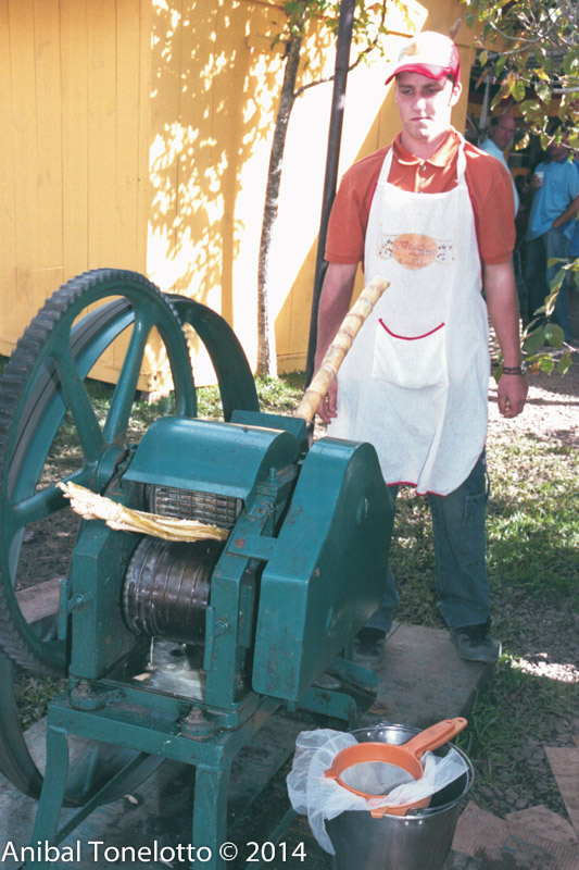 878-15.jpg