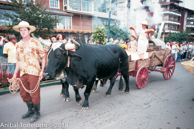 879-14.jpg