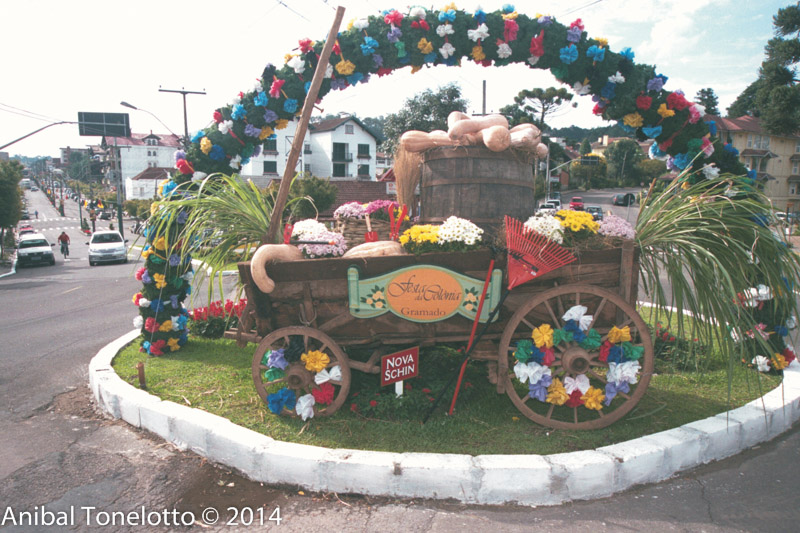 883-29A.jpg
