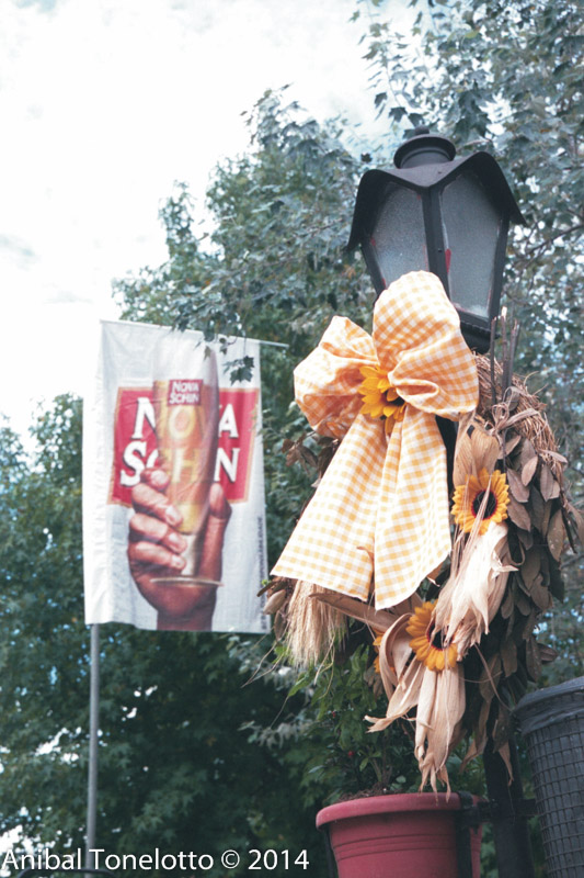 883-35A.jpg