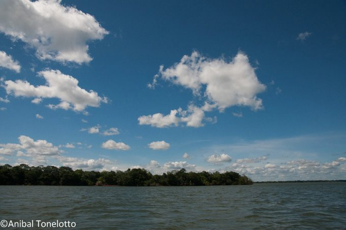 _DSC8280.jpg