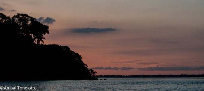 _DSC8355.jpg