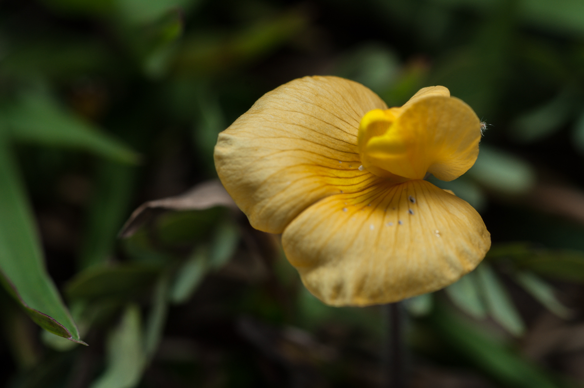 _DSC5394.jpg