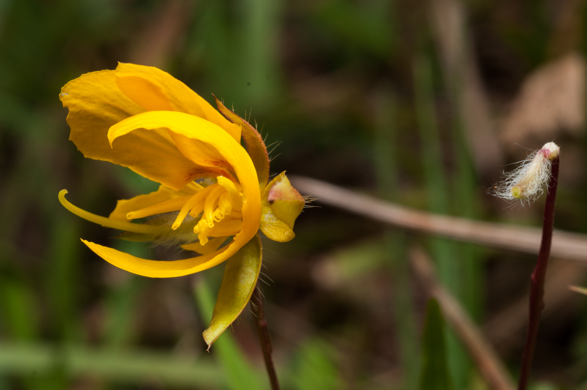 _DSC5443.jpg
