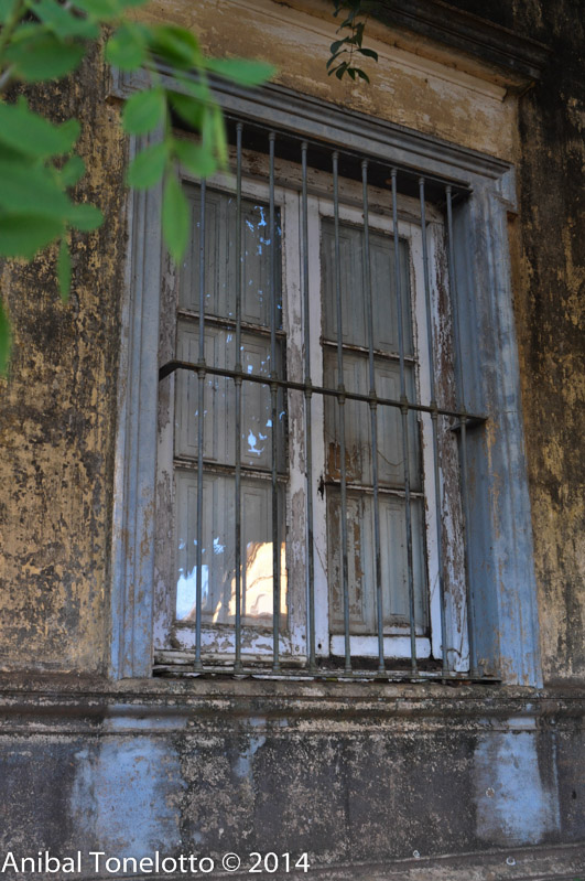 DSC_2403.jpg