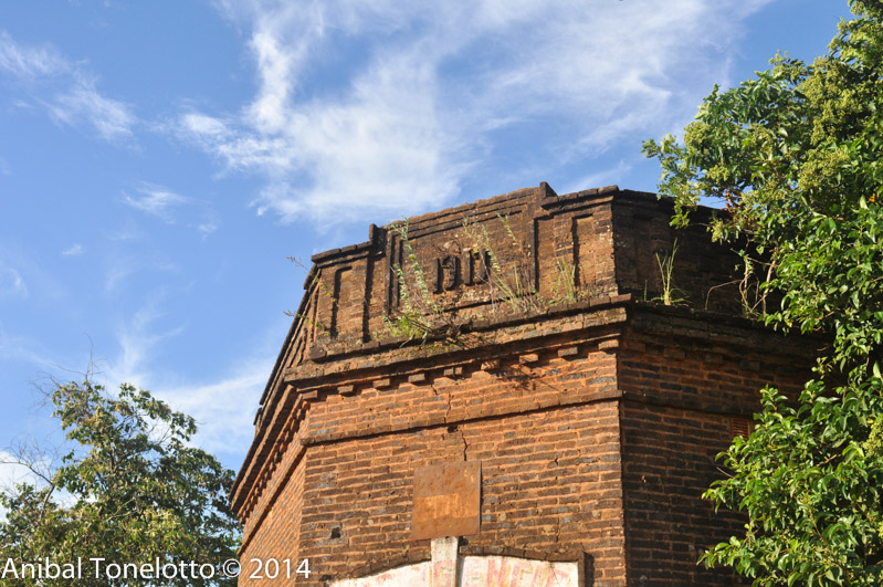 DSC_2429.jpg