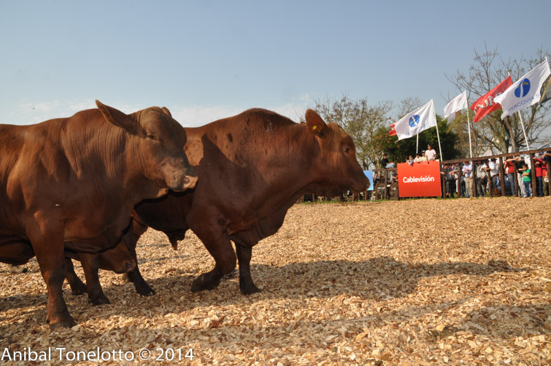 DSC_7314.jpg