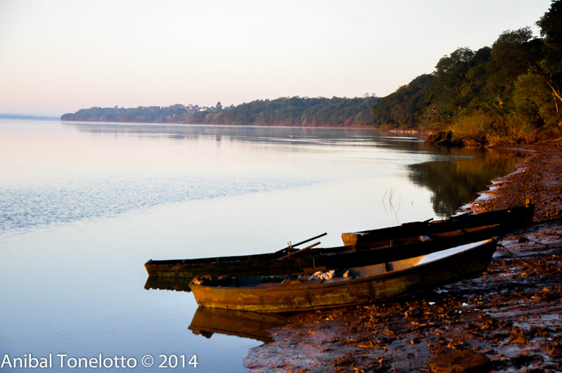 _DSC4262.jpg