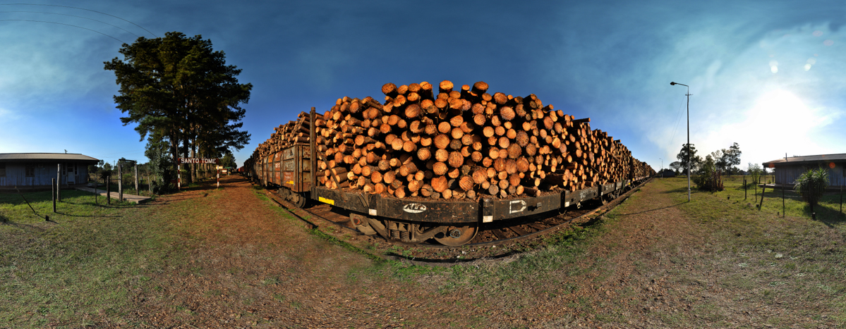 tren4.jpg