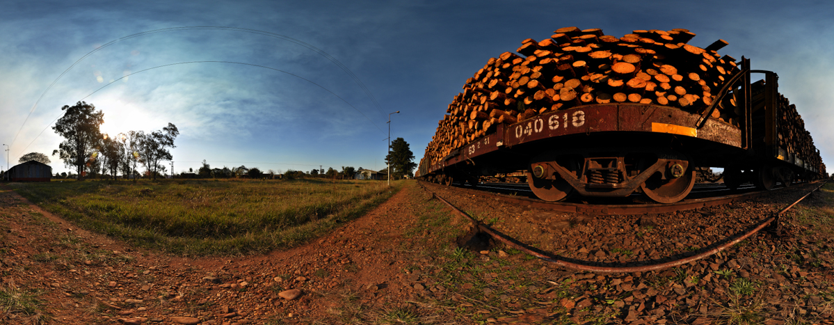 tren6.jpg
